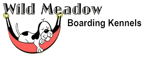 Meadow view boarding on sale kennels